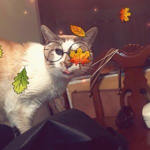 Meet your Posher, Jessica